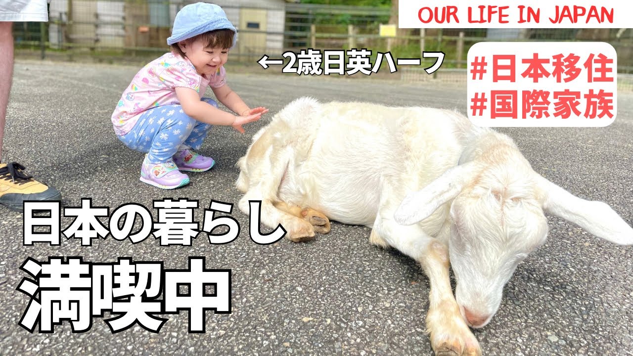 【日本移住から半年経過！】最近のまとめ / Our life in Japan! #国際ファミリー#2歳