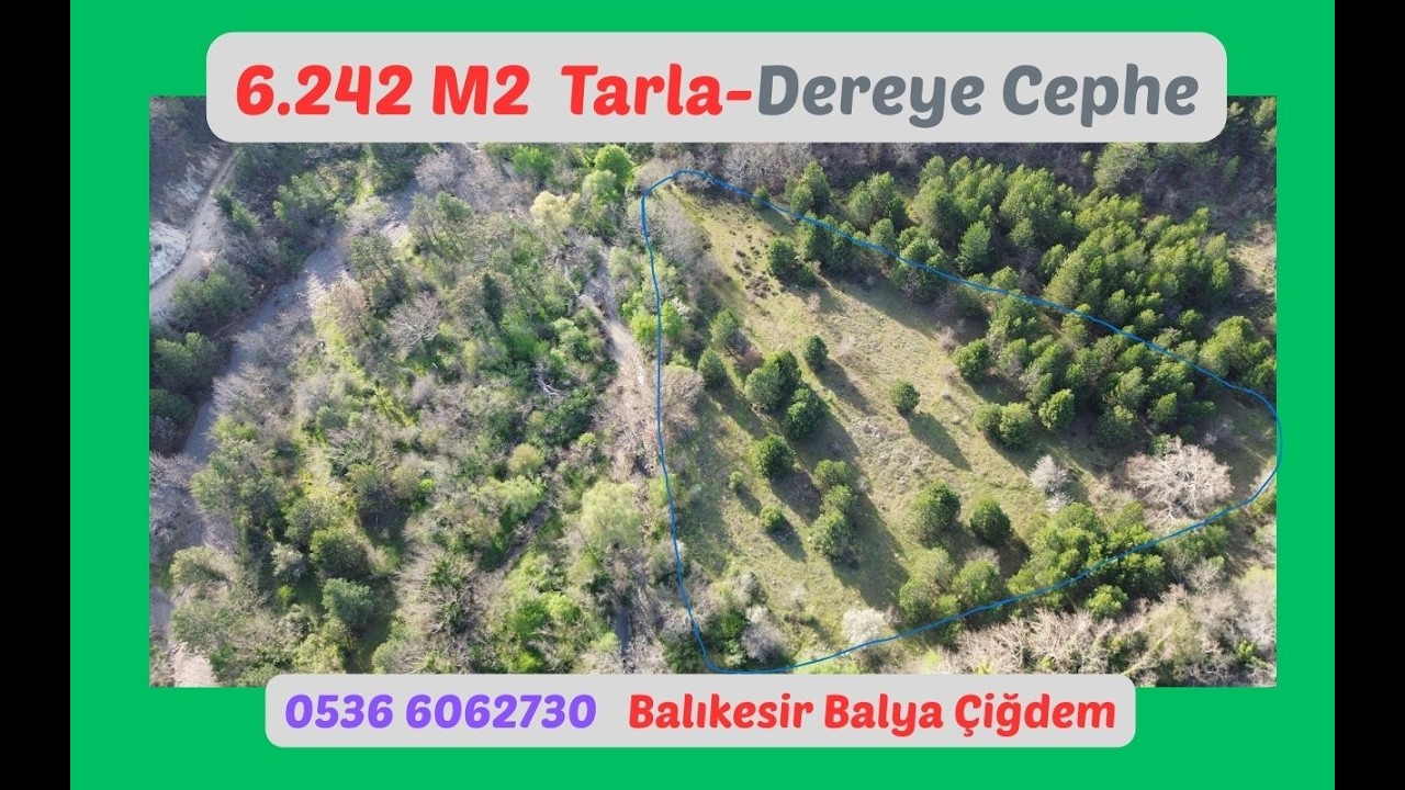 6.242 m2 Tarla. Balıkesir Balya Çiğdem 108-236. 550.000 TL