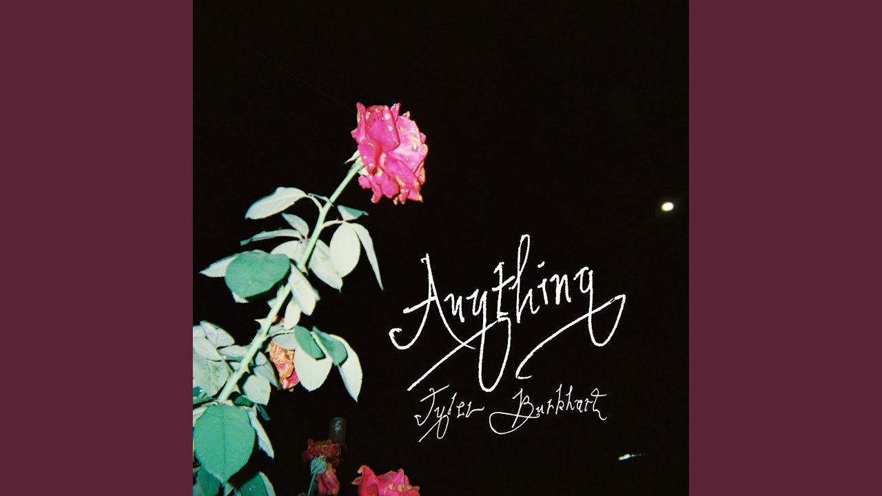 Anything