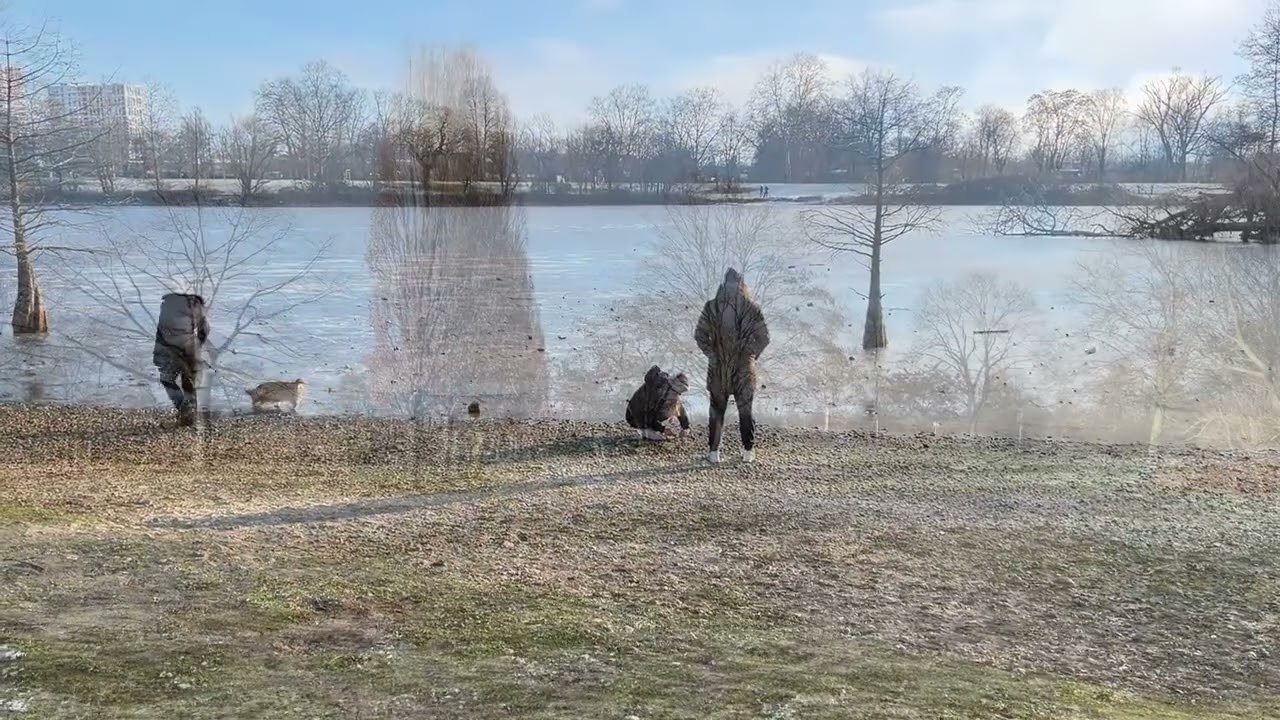 #sonntagsspaziergang #frankfurt #rebstockpark #sonntag #winter 