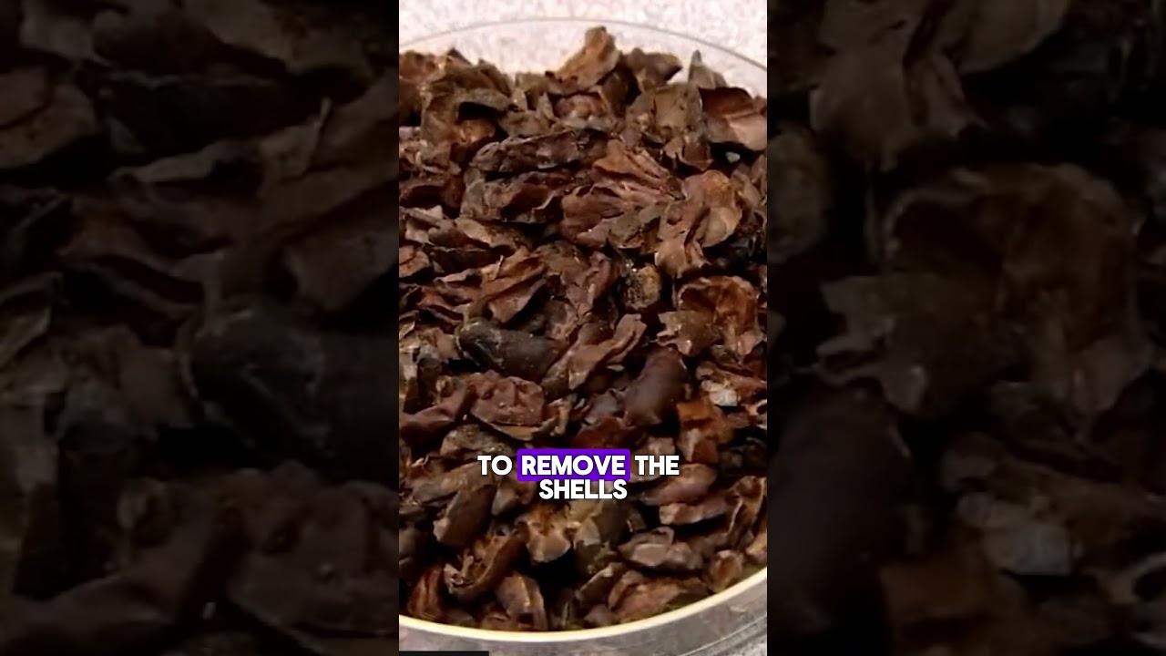 How Chocolate Is Made    