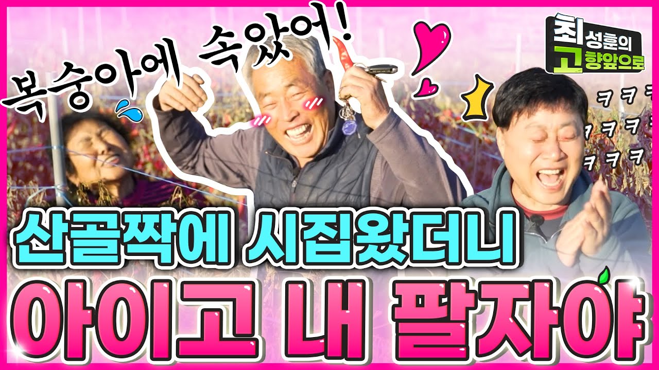 복숭아에 속아서 시집왔네! [진안 회룡마을]