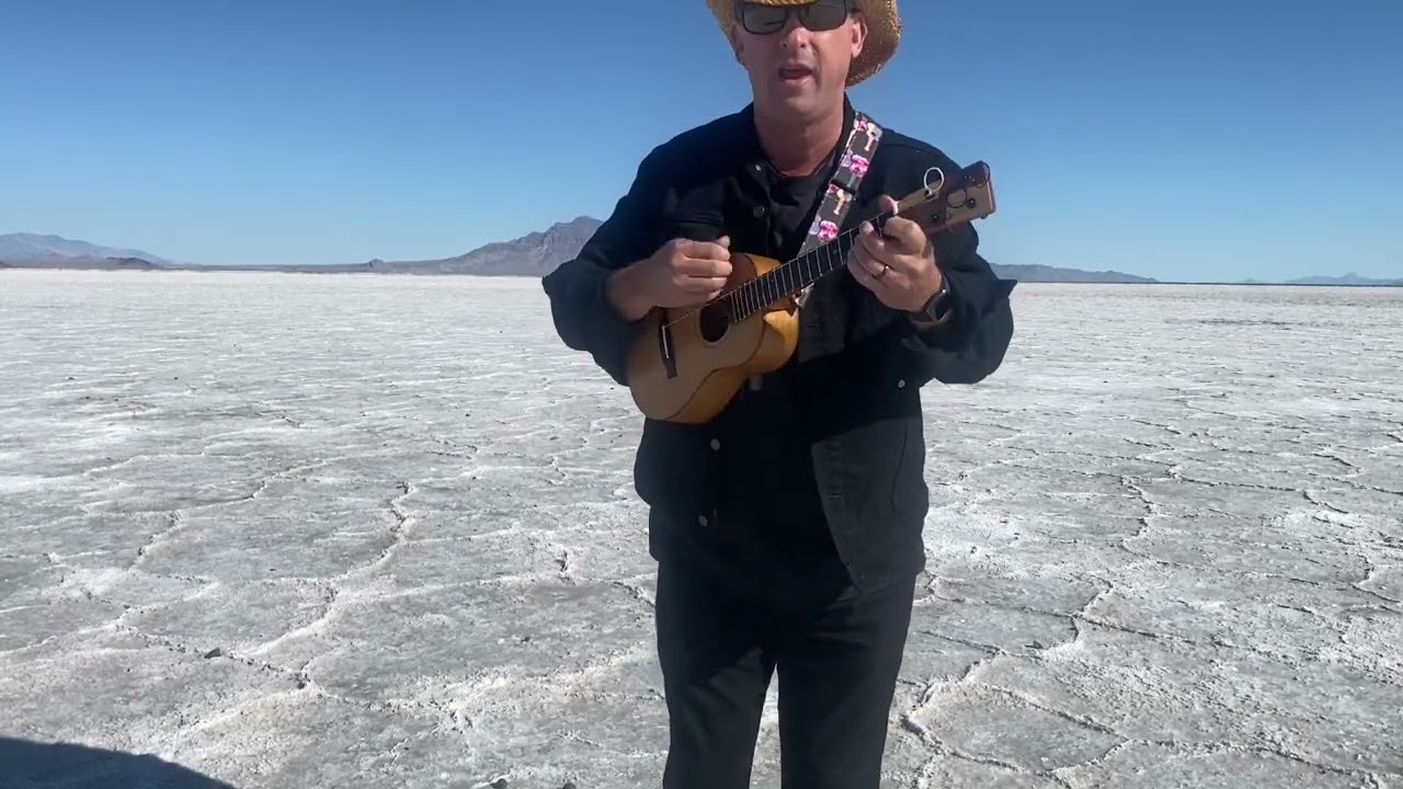 Poor Wayfaring Stranger- Lil Rev 