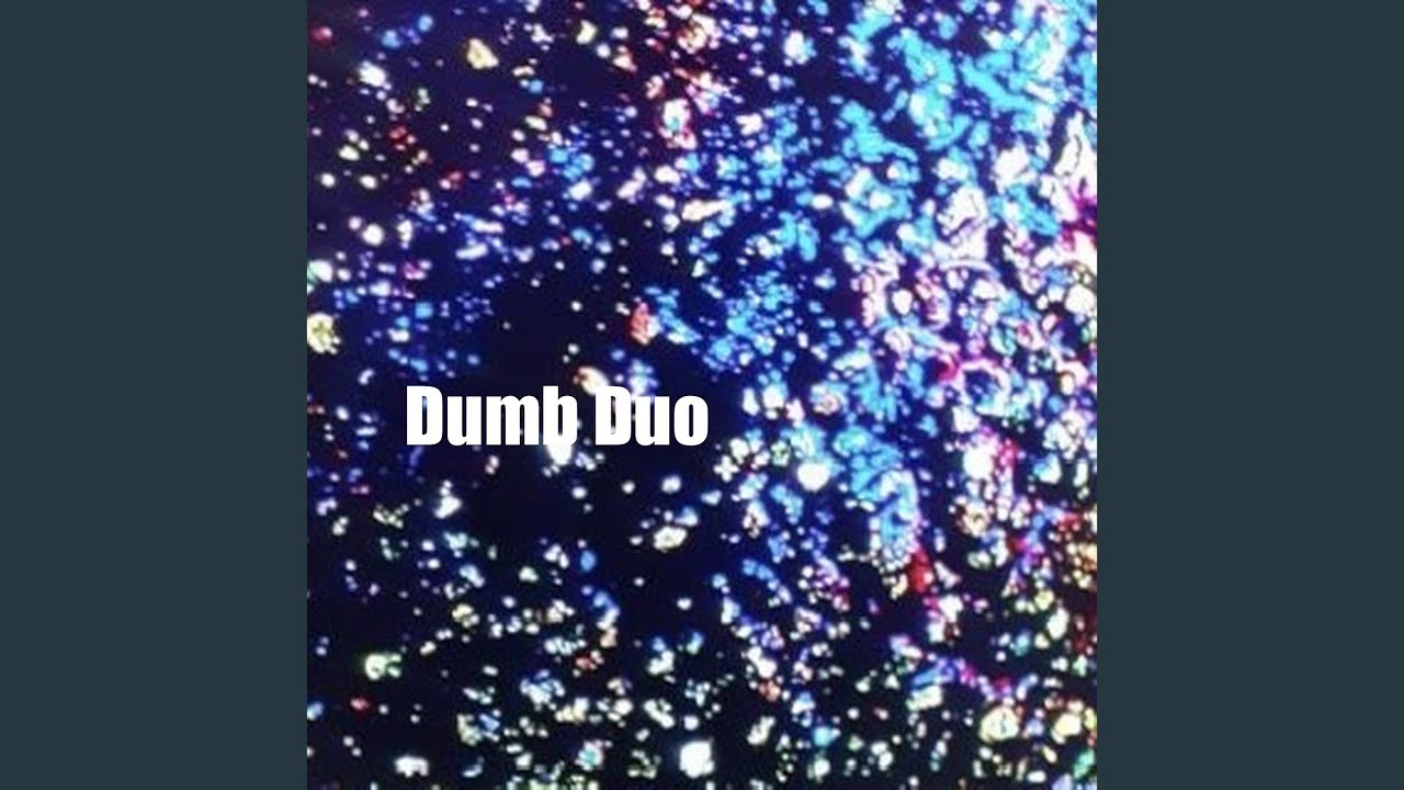 Dumb Duo