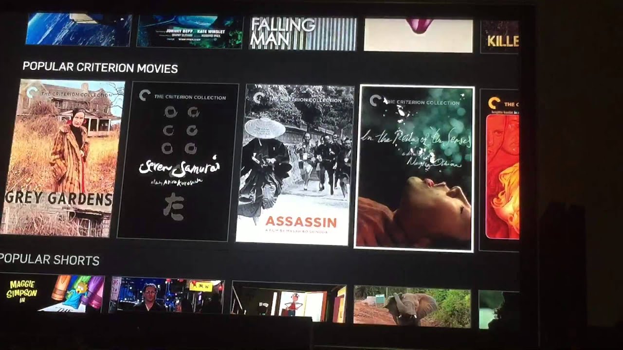 Netflix and Hulu Plus On Ps4