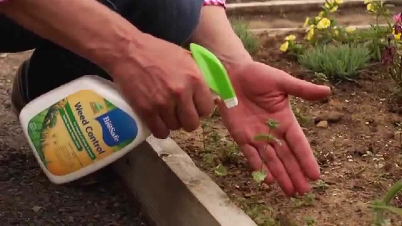 BioSafe Weed Control