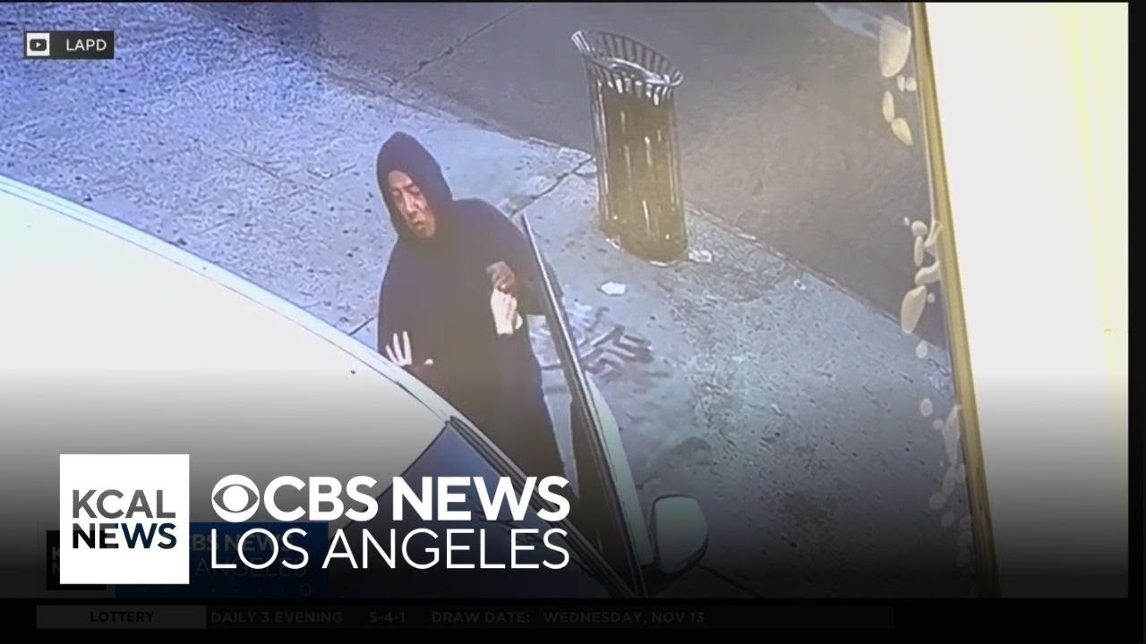 Carjacking suspect that targeted 3 women in Los Angeles is arrested