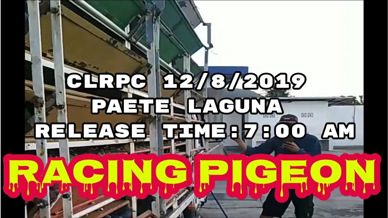 CLRPC 12/8/2019 PAETE LAGUNA RELEASE TIME:7:00 AM
