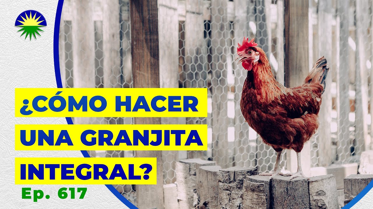 617. ¿Cómo hacer una Granjita Integral?