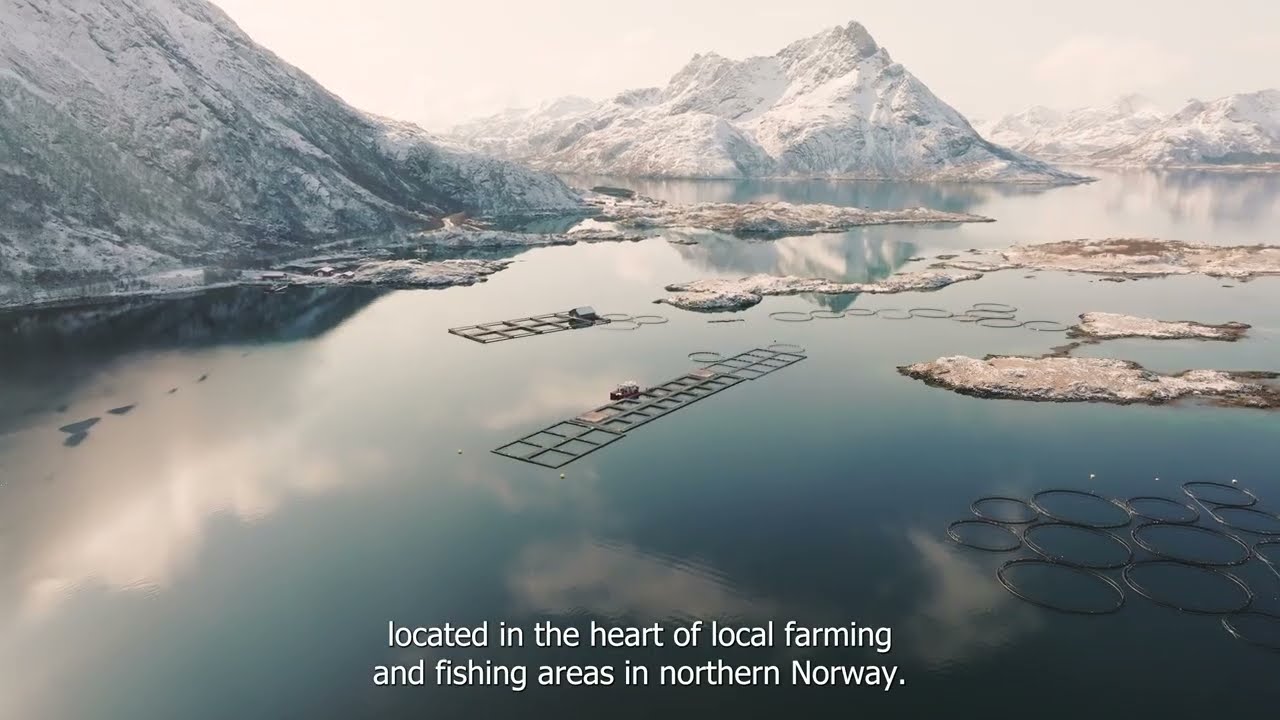Primex Norway - Presentation video