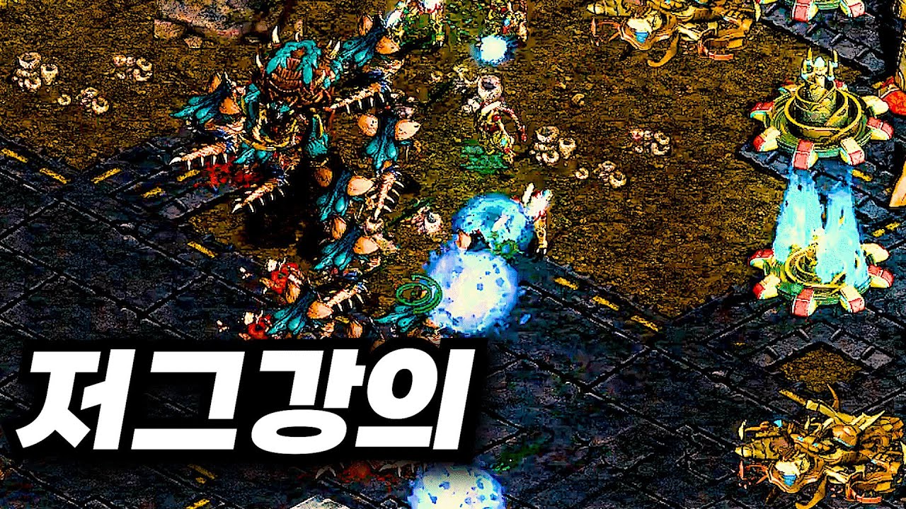 참신한 저그강의 [중급자용]