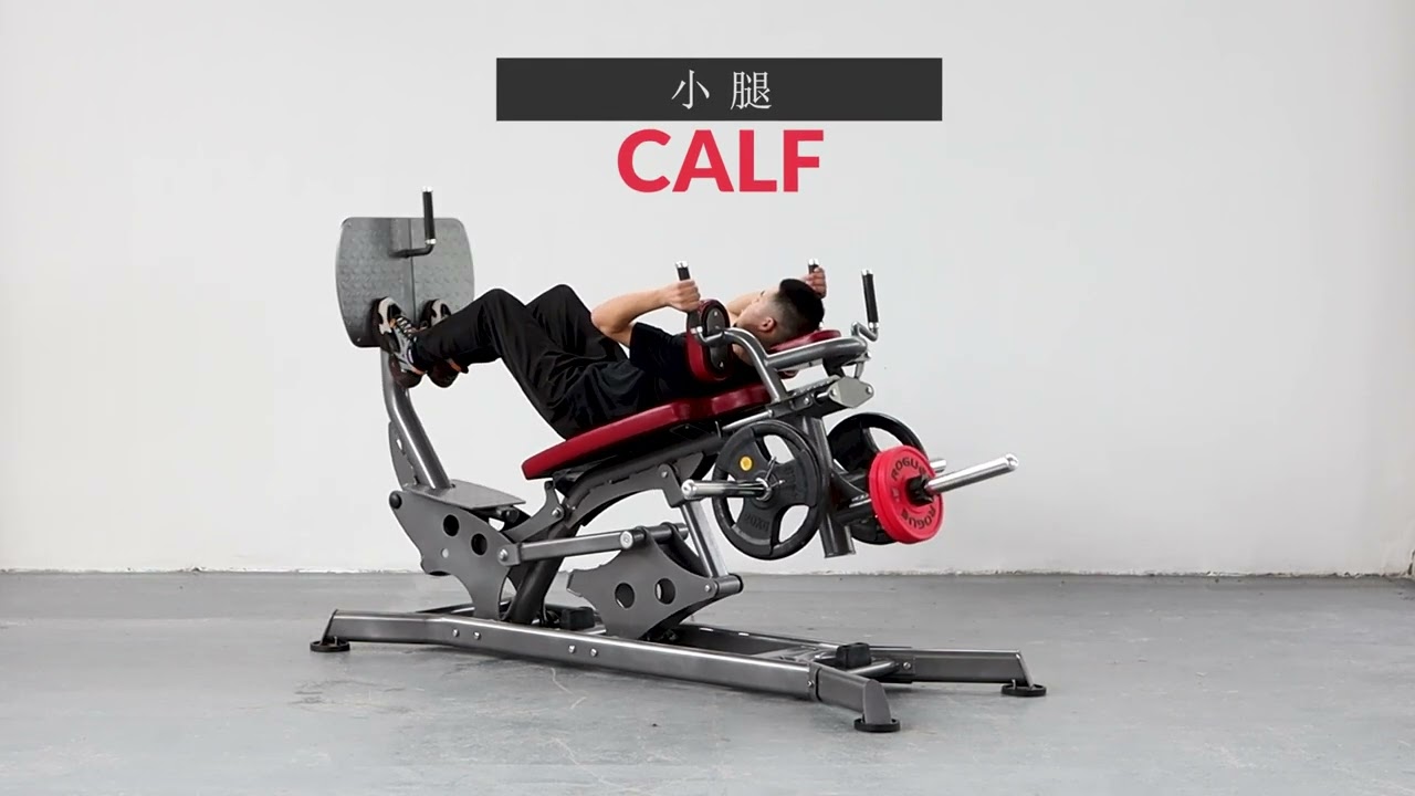 MS629 Dual Action Leg Press