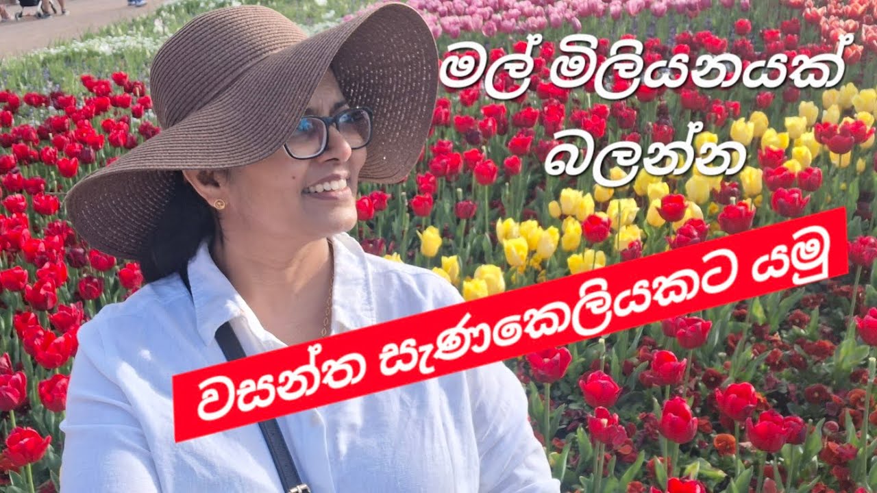 Floriade ටියුලිප් වසන්ත සැණකෙලිය බලන්න යමු#australia #travel #srilankan #flowers 