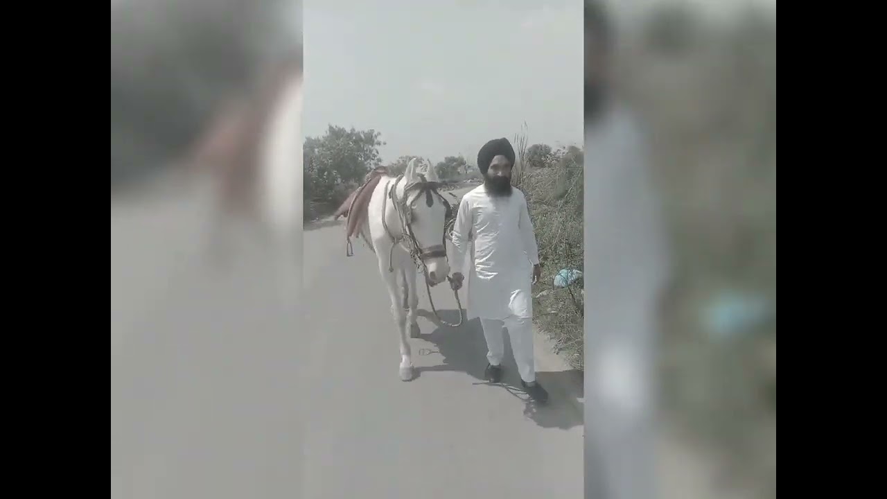 #short #shortvide #bandisingh #insafmorcha #viralvideo