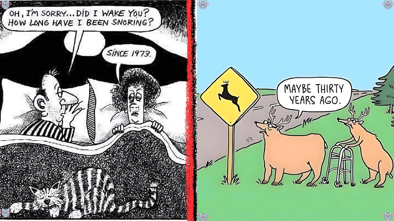 A Collection of Funny Comics  and Mems That Will Leave You Laughing Out Loud! 😂 #FunnyMemes