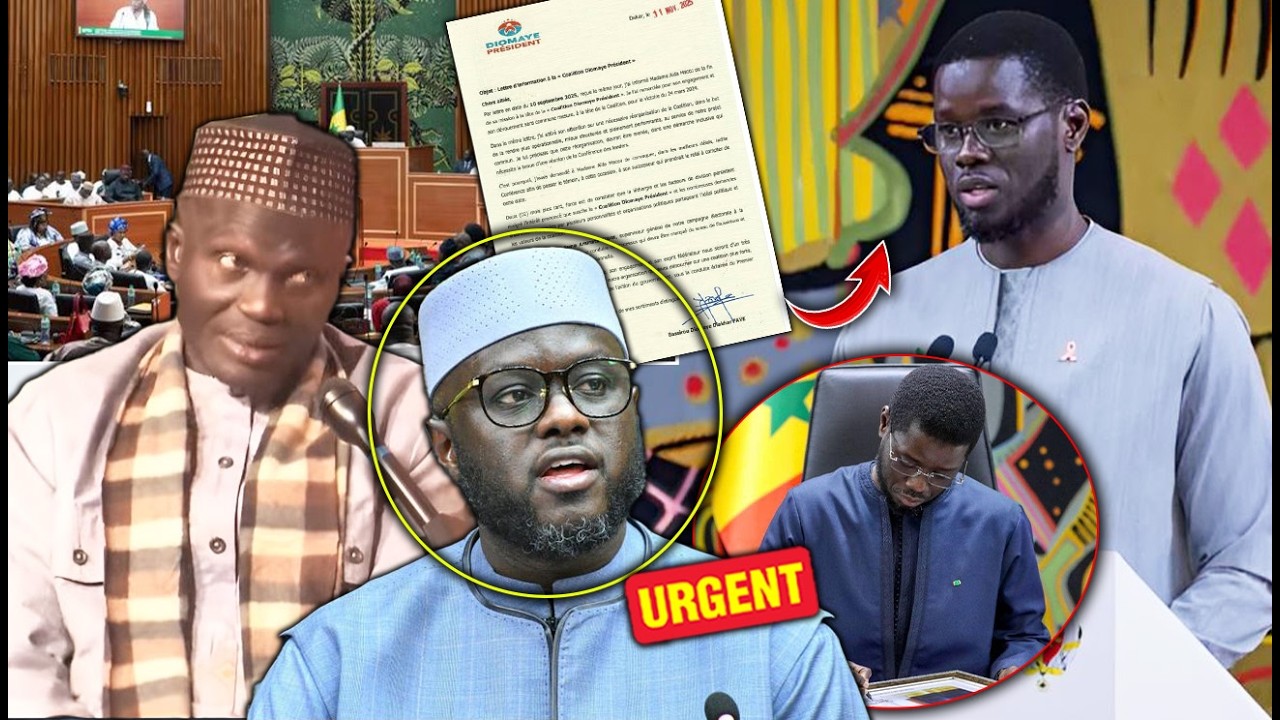 Nouvelle Dissolution de l'Assemblée sous Diomaye : Assane Samb décrypte une situation catastrophique