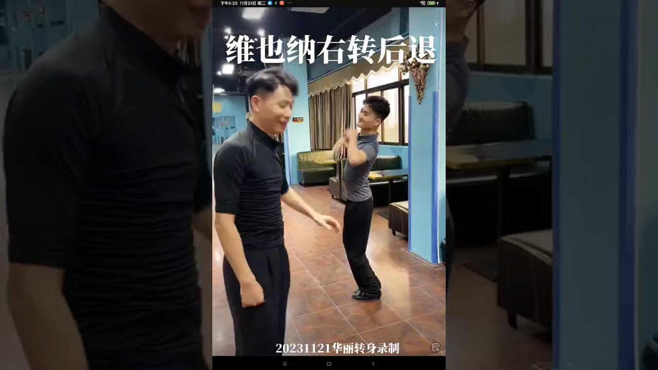 维也纳后退