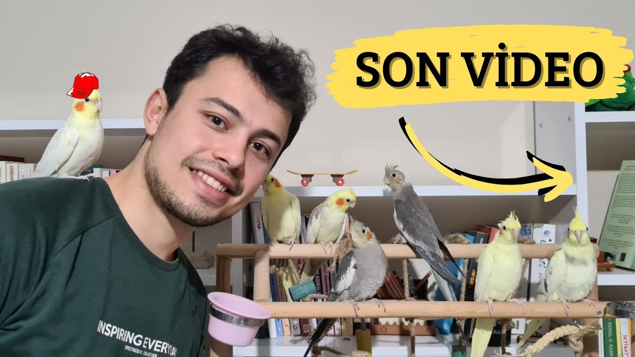 KUŞLARA VEDA 👋 (KÜRDAN DUYGULANDI)
