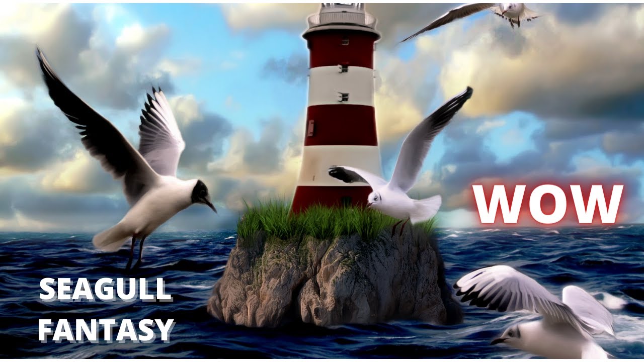 HARBOUR SOUNDS SEAGULLS |HARBOUR AMBIENCE SOUND EFFECT| SEAGULL SOUND EFFECT| SEAGULLS CRYING | ASMR