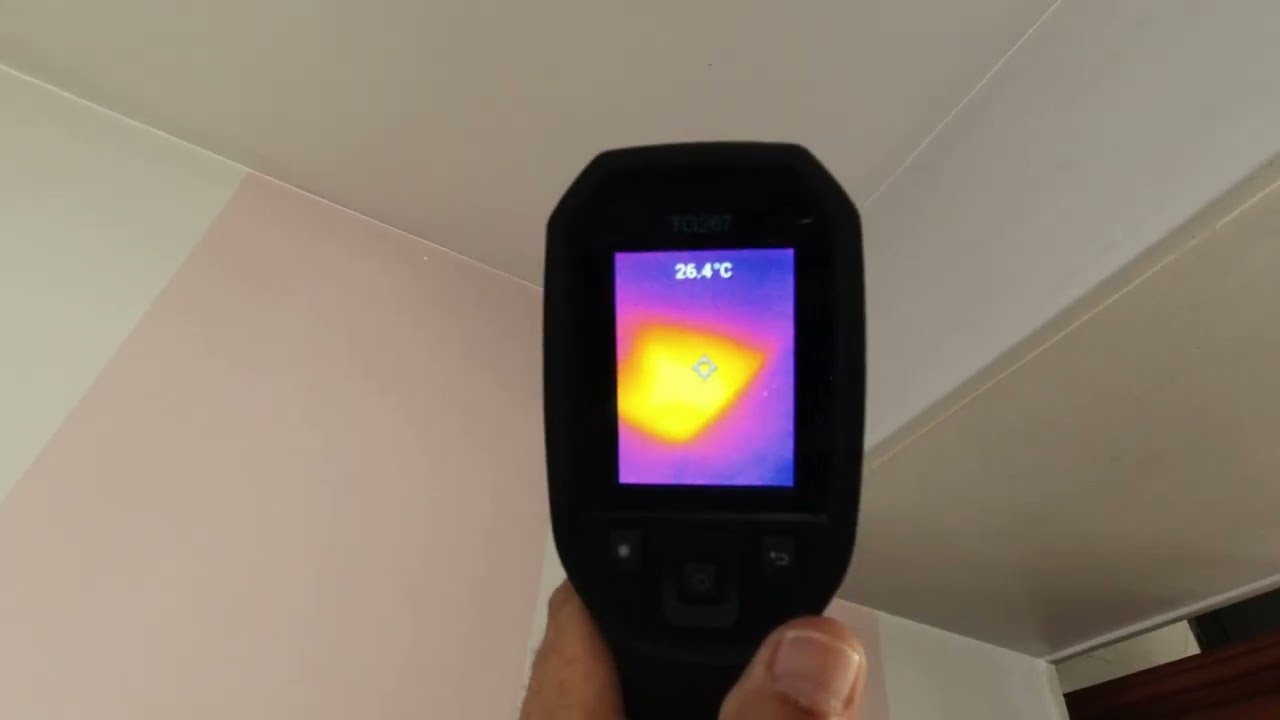 bruit de guêpes dans le plafond que faire ?