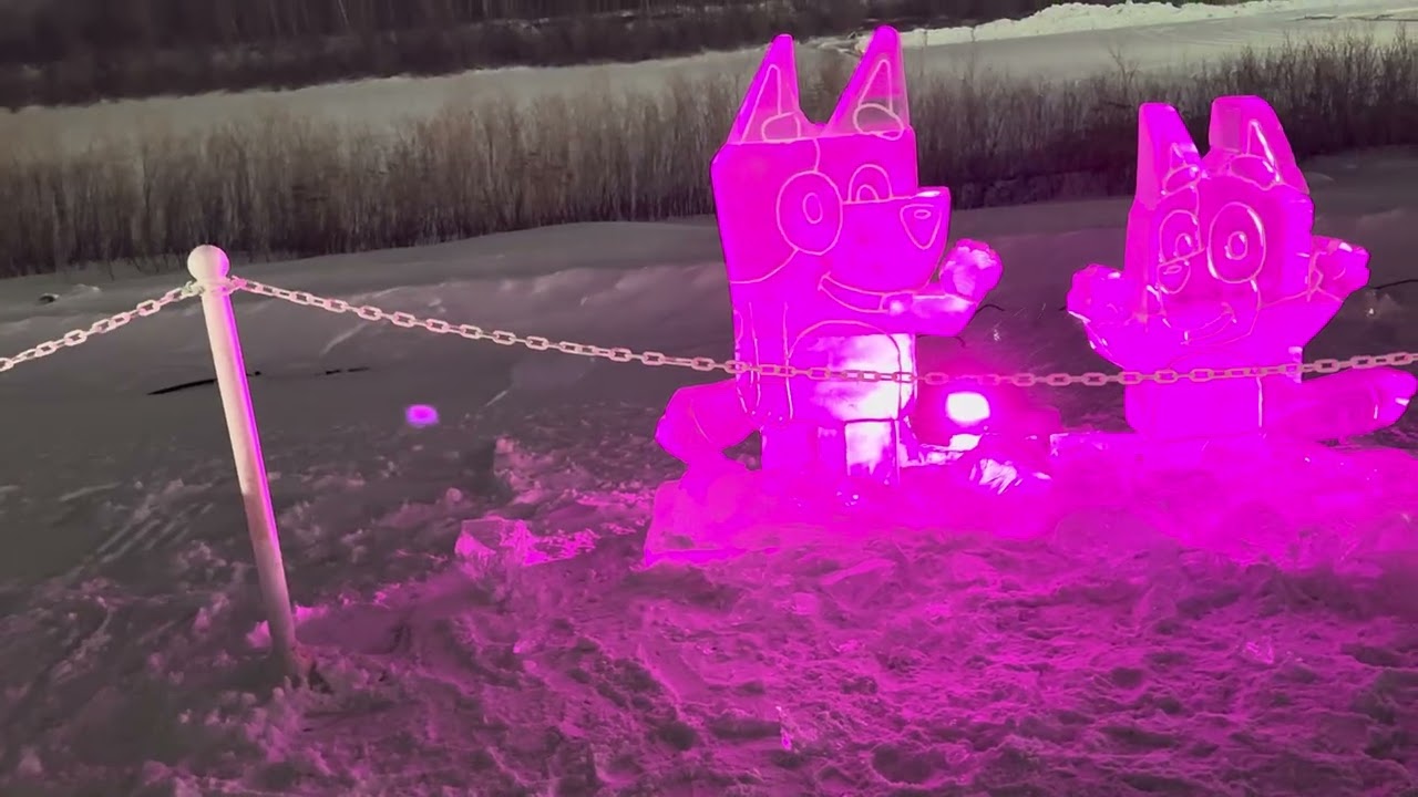 Ice Sculptures with lights!!! 