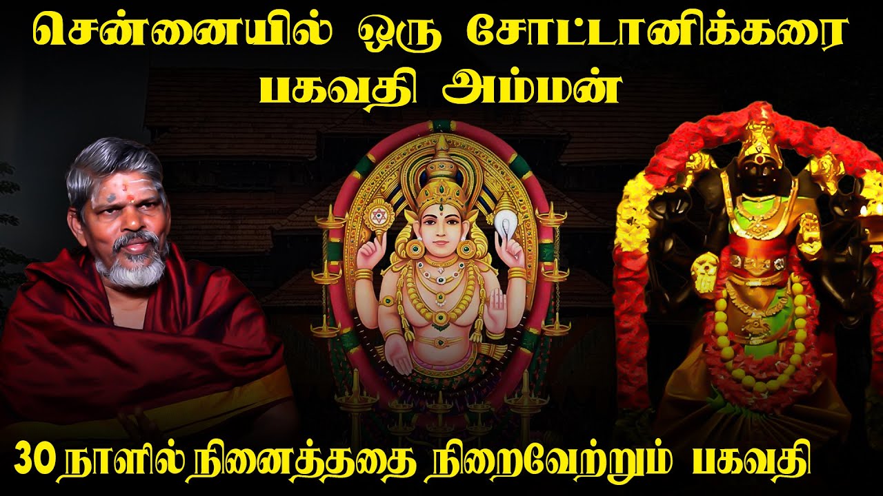 பில்லி சூனியத்தை கருவருக்கும்  செனாய் நகர் பகவதி அம்மன் | இறை தேடி | Irai Thedi