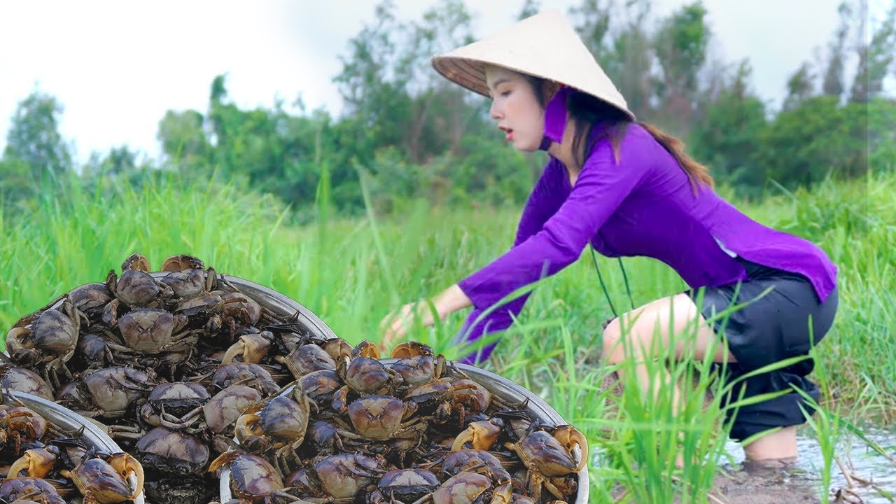 Catching Fat Field Crab to Made Delicious and Tasty Bun RieuCua , VietNam Dish , Relaxing cooking .