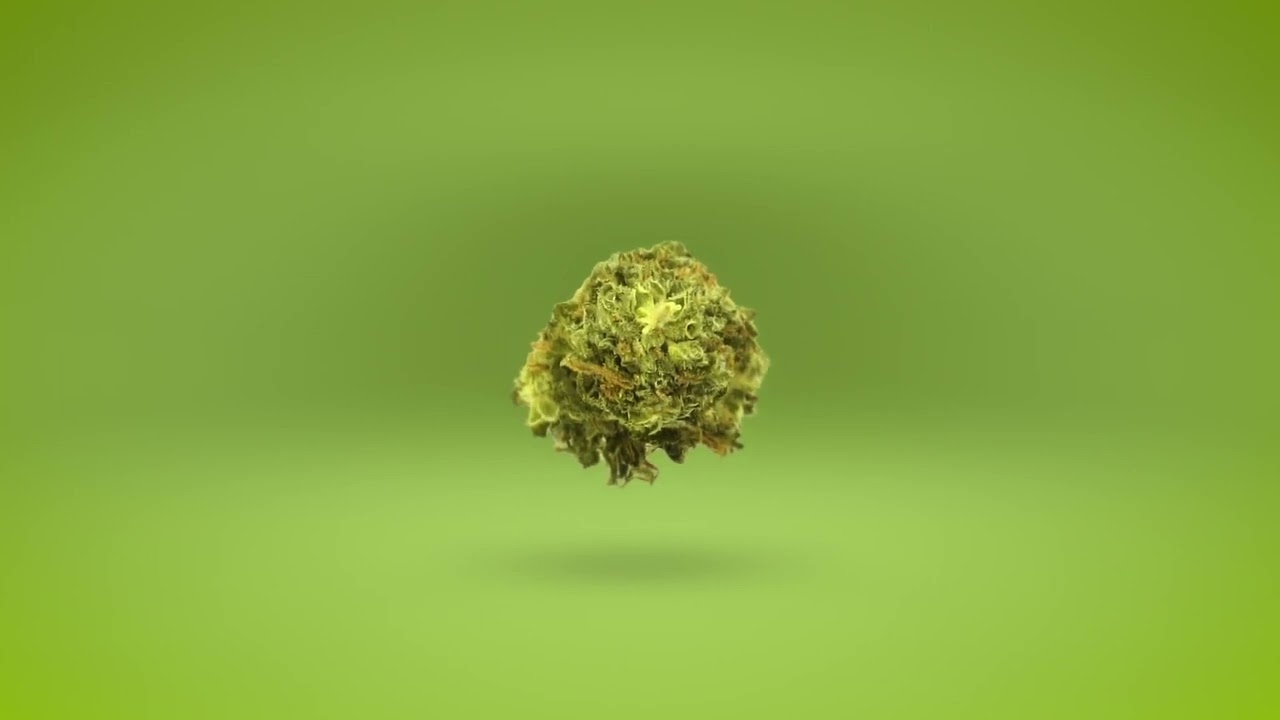 CBDoktorPL - CBD Bud