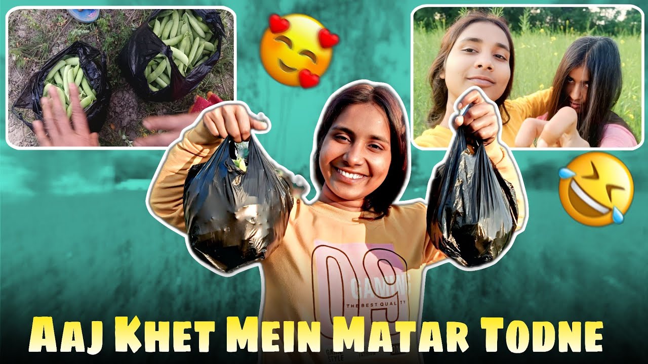 Aaj khet me taazi matar todne ka maza hi kuch aur hai!” 🌿