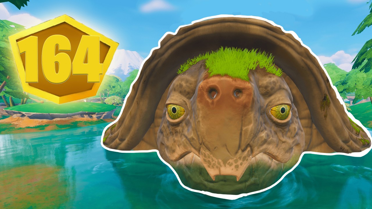 Solo Cash Cup, But i ONLY Land The TURTLE