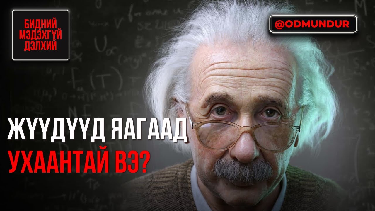 Жүүдүүд яагаад ухаантай вэ? - БИДНИЙ МЭДЭХГҮЙ ДЭЛХИЙ
