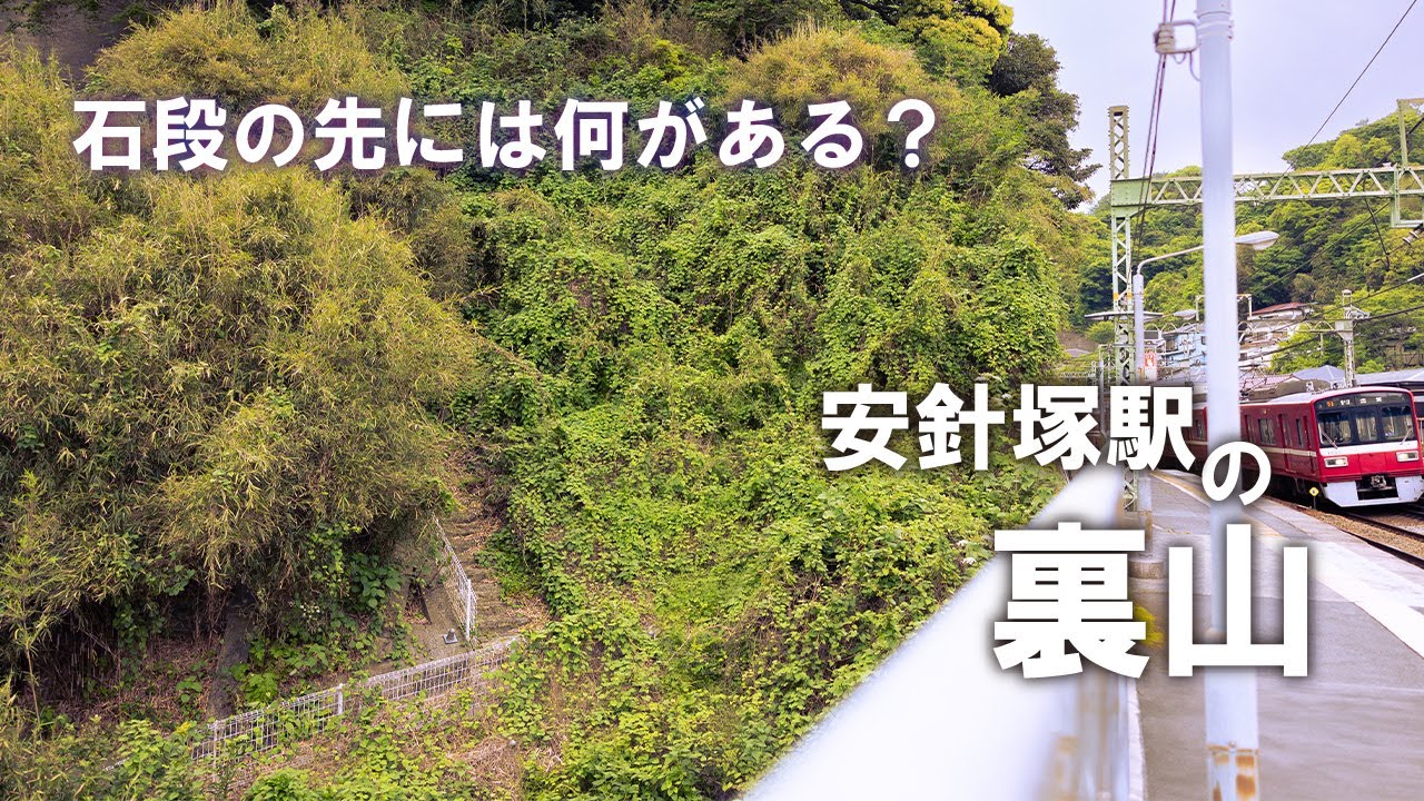 [4K/ナレーション] 京急 安針塚駅の裏山を散策　荒れた畑と倒木を乗り越えて昭和の市営住宅へ。新緑の山道