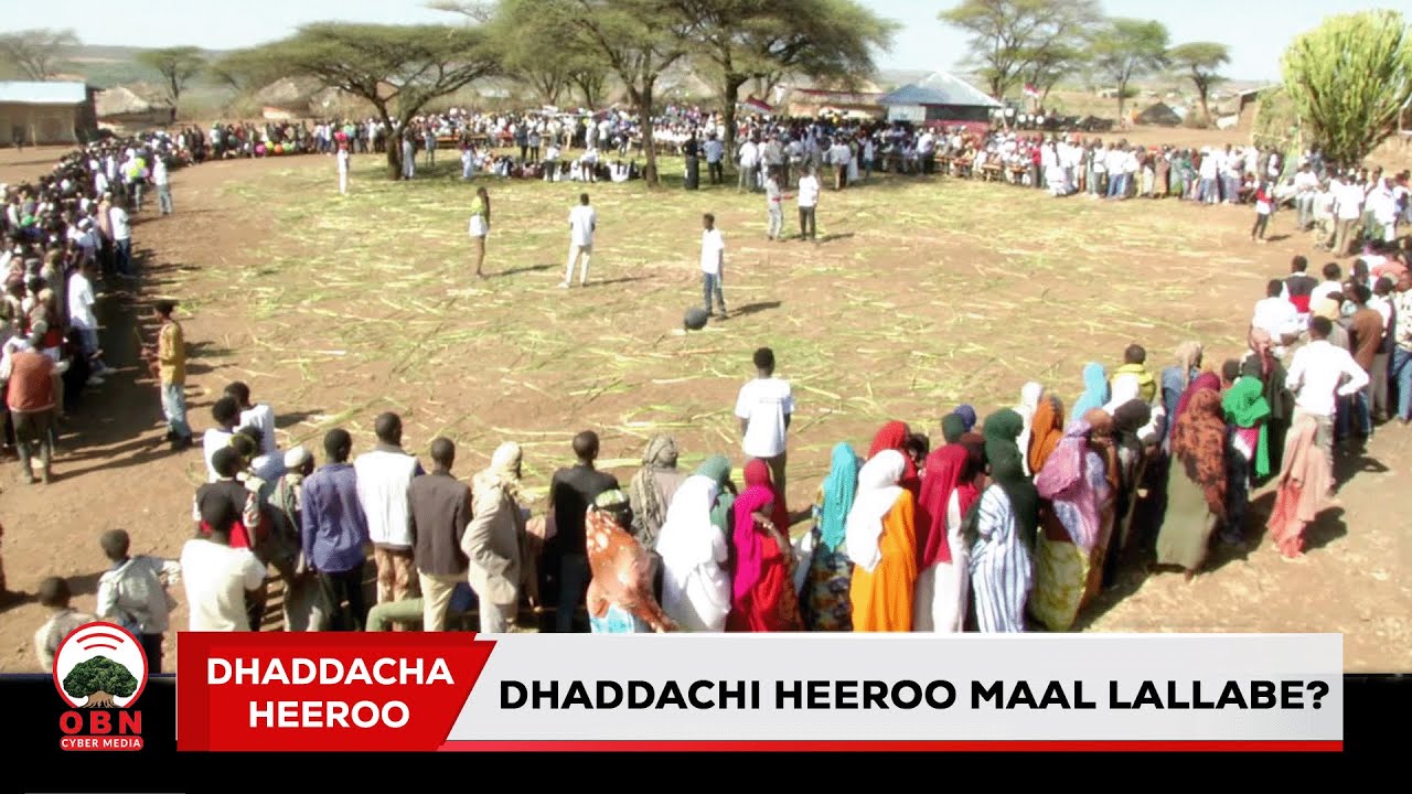 Dhaddachi Heeroo maal Lallabe? #justice  #judge #prosecution  #ethiopia #oromia #obn