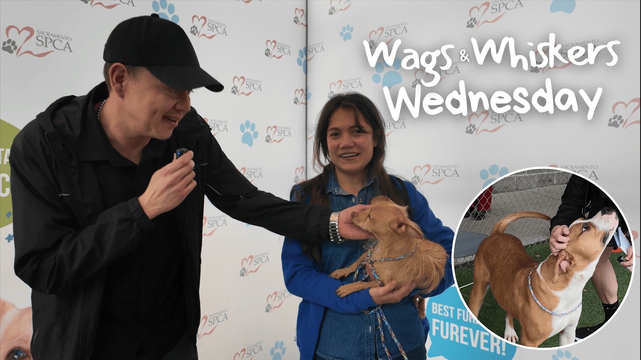 Wags & Whiskers Wednesday with SSPCA | Episode 2
