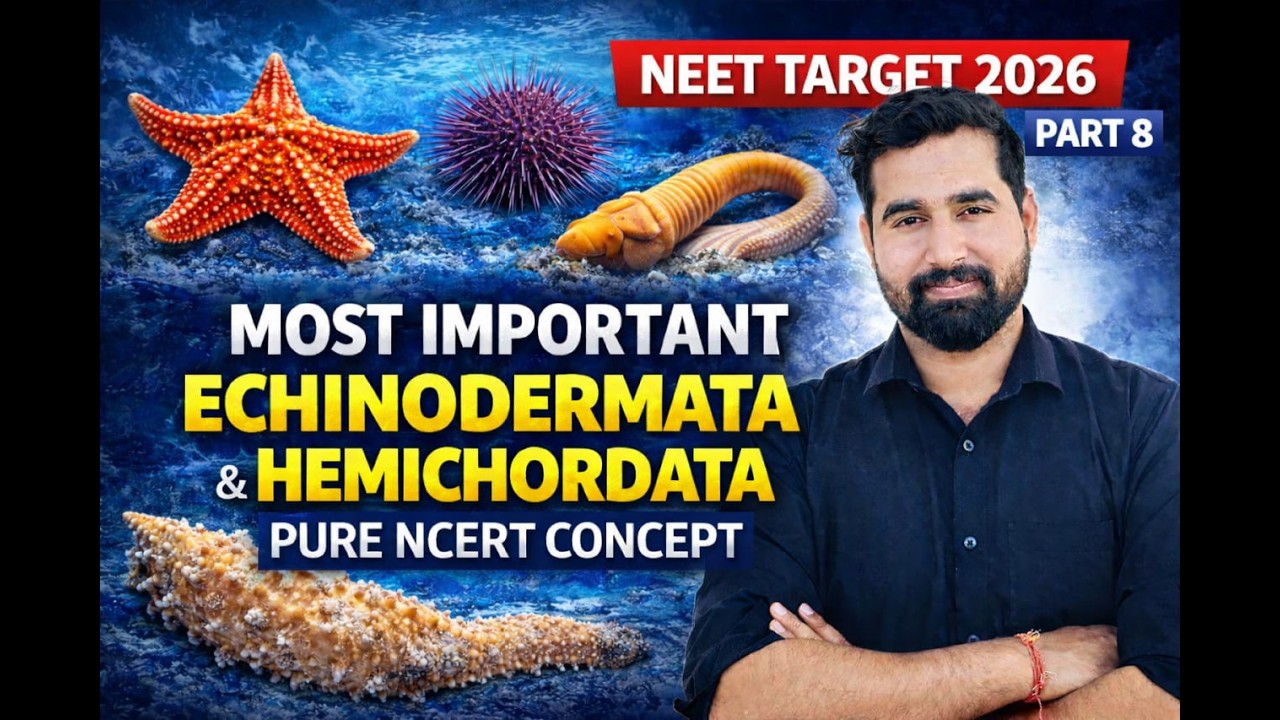 MOST IMPORTANT Echinodermata & Hemichordata 🔥 | Pure NCERT | NEET 2026