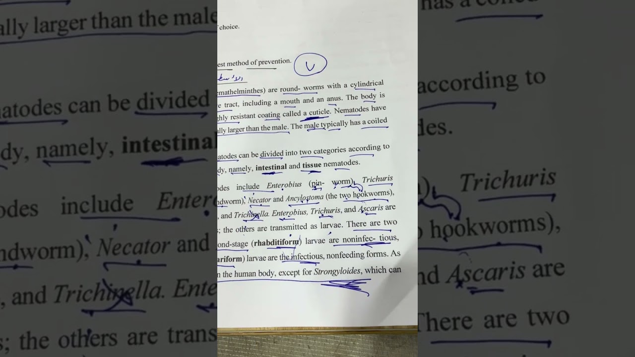 شرح محاضرة الطفيليات النظري السابعة مرحلة رابعة وزاري مختبرات طبية ٢٠٢٦ /الاستاذ مسلم عقيل 
