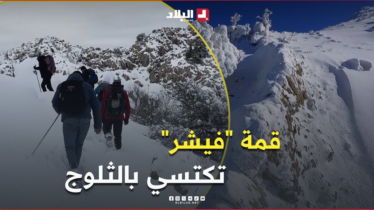 تيزي وزو: قمة 