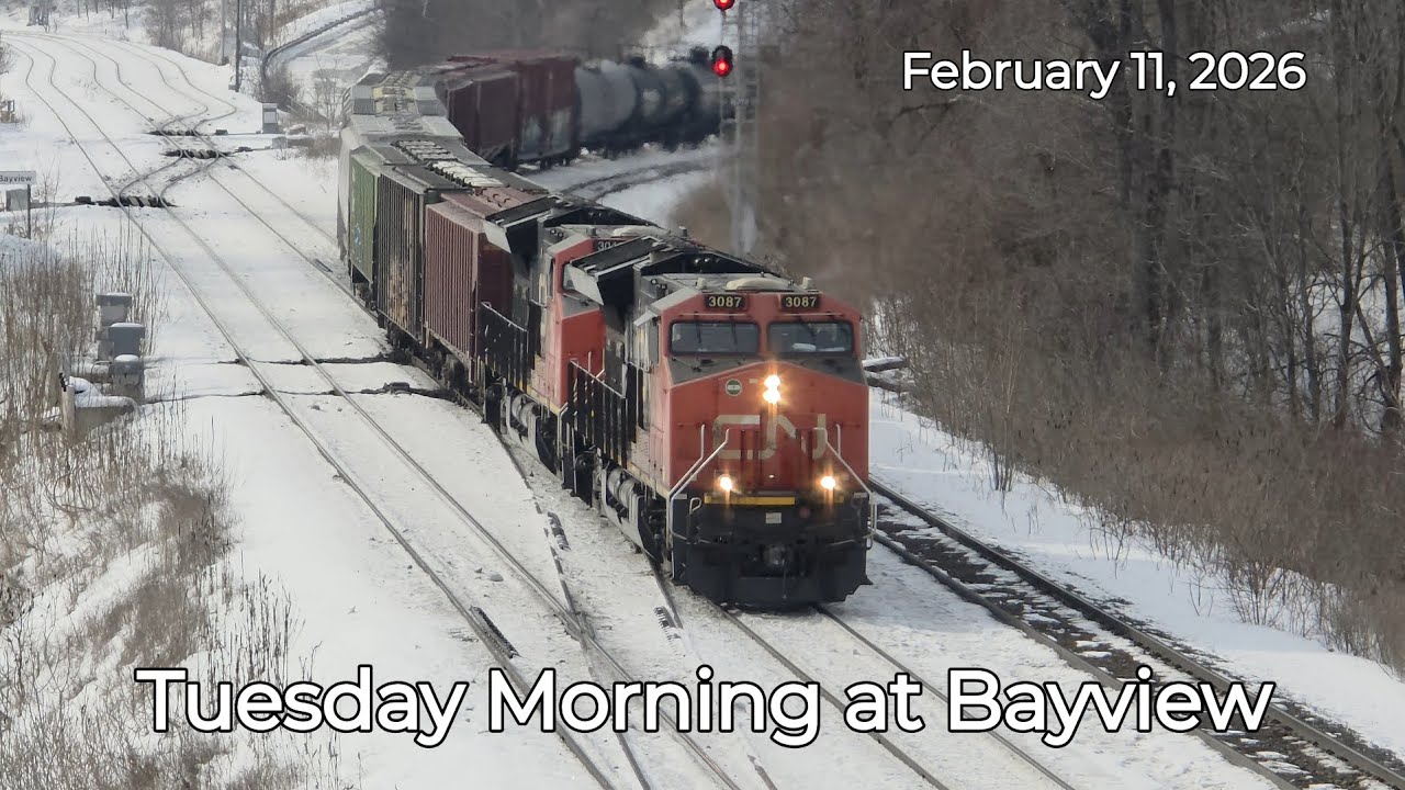 Tuesday Morning at Bayview • February 10, 2026