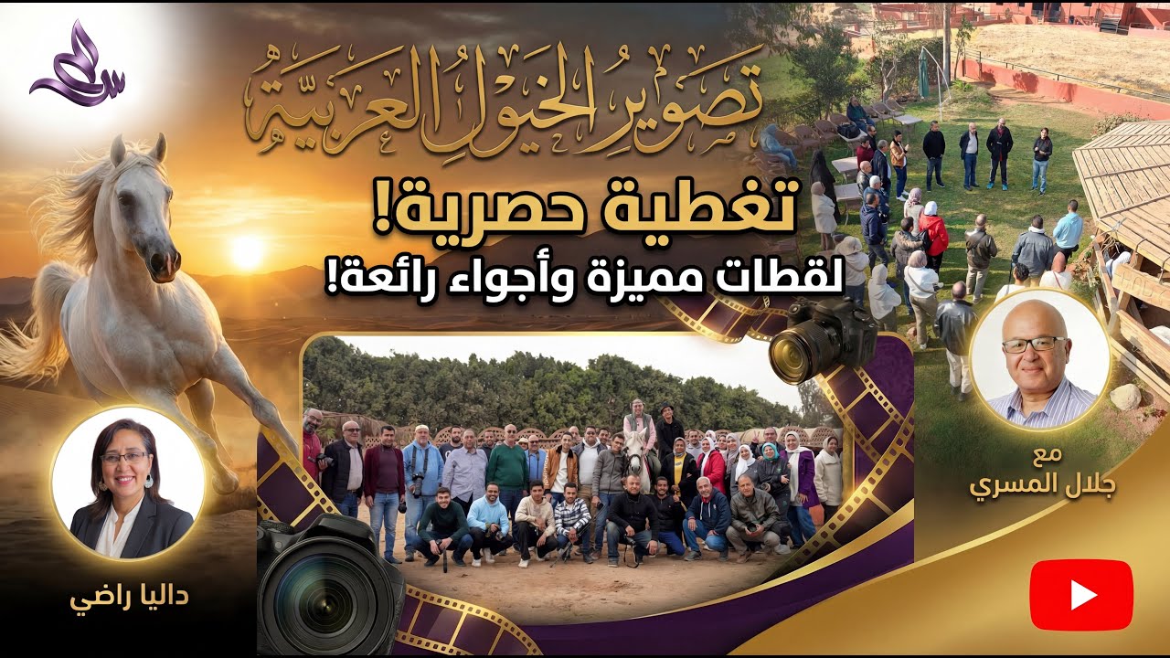 كيف نصور جمال الخيل العربي؟ | كواليس 