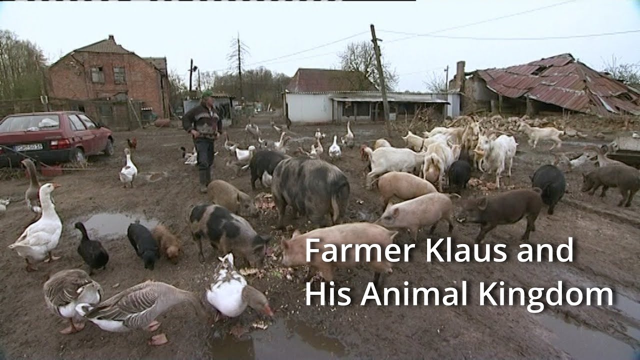 The Crazy Farm - Klaus and his ANIMAL KINGDOM