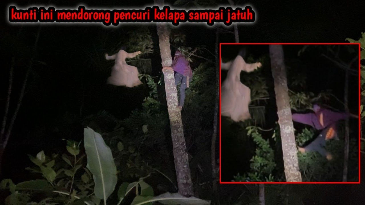 MERINDING ‼️TIBA DARI KETINGGIAN 10 M