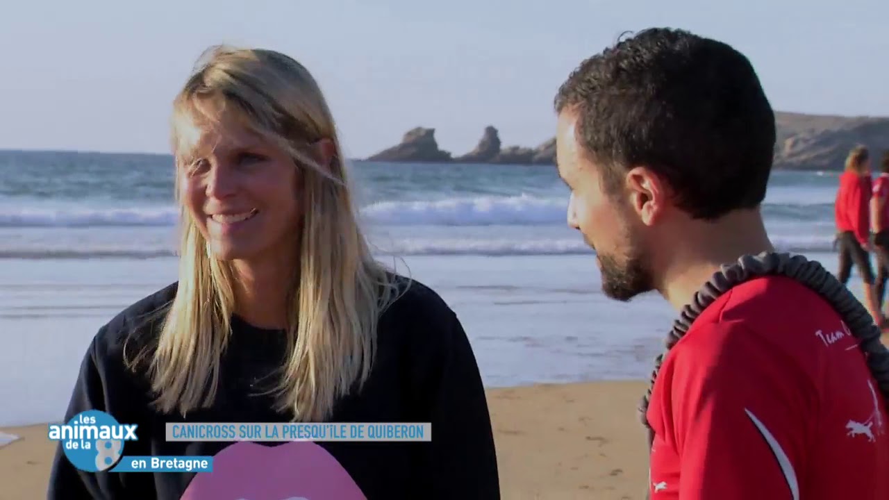 Les Animaux de la 8- Canicross dans le Morbihan avec La Team canicross56- Canicross Addict