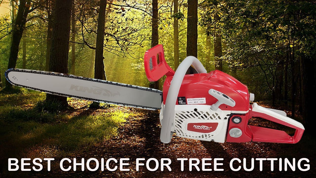 King Heavy Duty KP-392 Petrol Chain Saw 62cc |Best Choice For Tree & Wood Log Cutting |Demo on tree