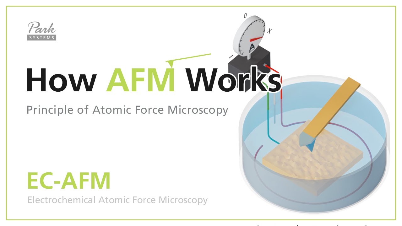 EC-AFM | How AFM Works - Principle of Atomic Force Microscopy