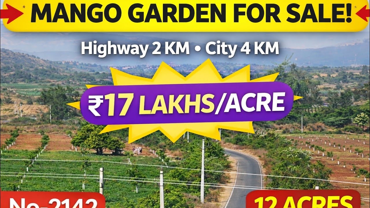 Mango Garden for Sale in#Nandyal | ₹17 Lakhs/Acre | 2 Sides Taarroad Facing Land,Near City | 99Plots