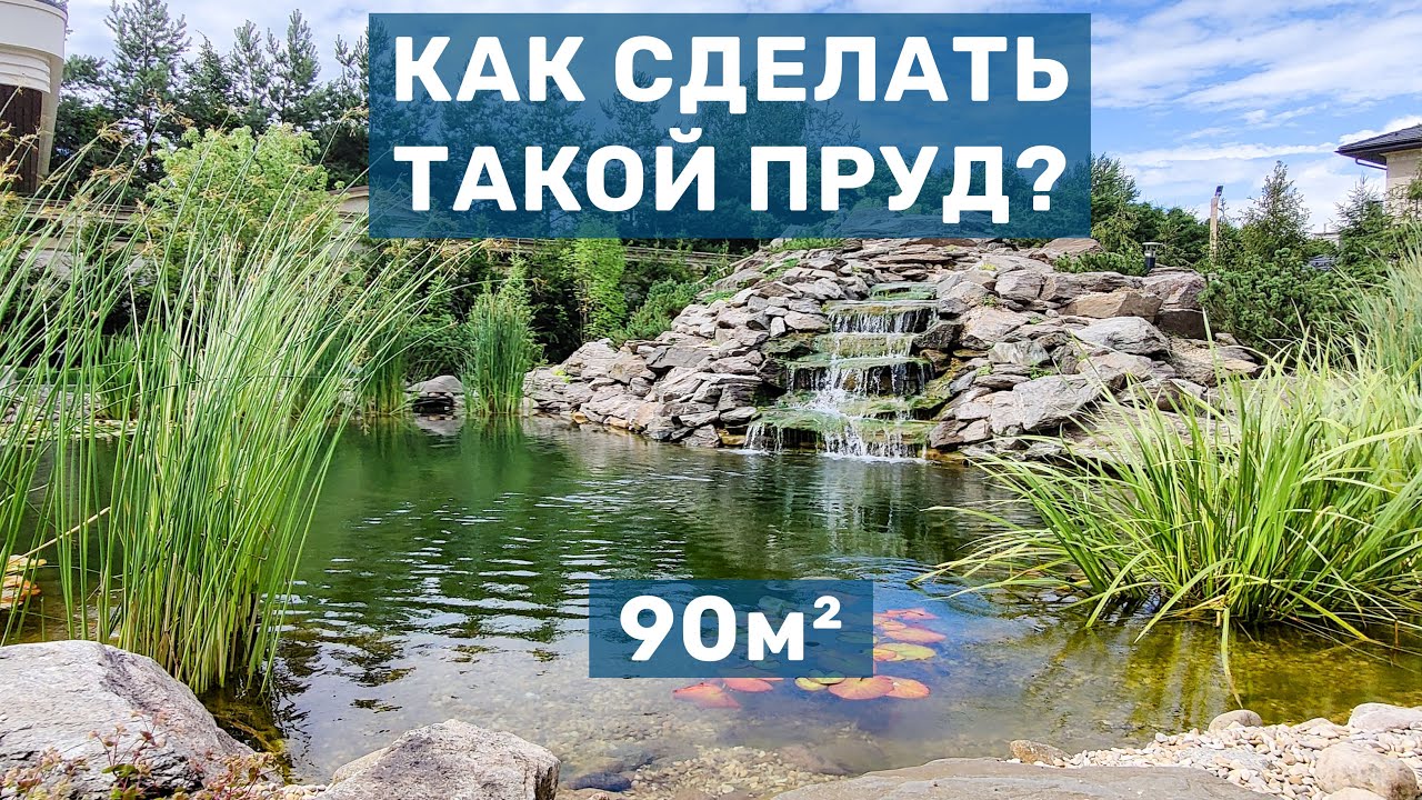 Пруд для купания и рыбы. Как мы сделали красивый пруд с каскадом и ручьём. Пруд с осетрами
