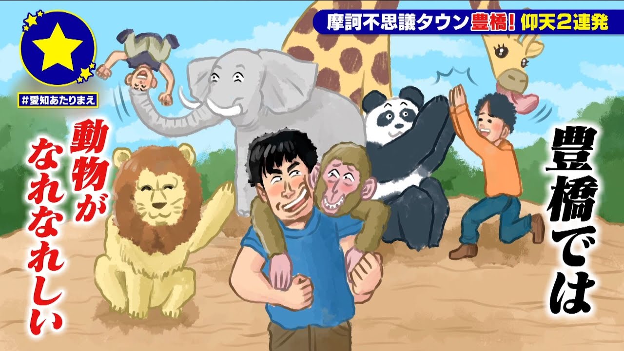 【豊橋市】動物がなれなれしいのがあたりまえ？！【愛知あたりまえ】