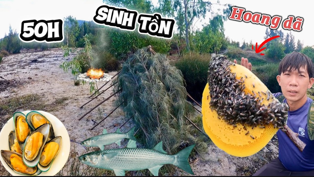 50h sống trên rừng hoang dã | xây dựng nơi trú ẩn tự tìm kiếm thức ăn | camping…phần 2