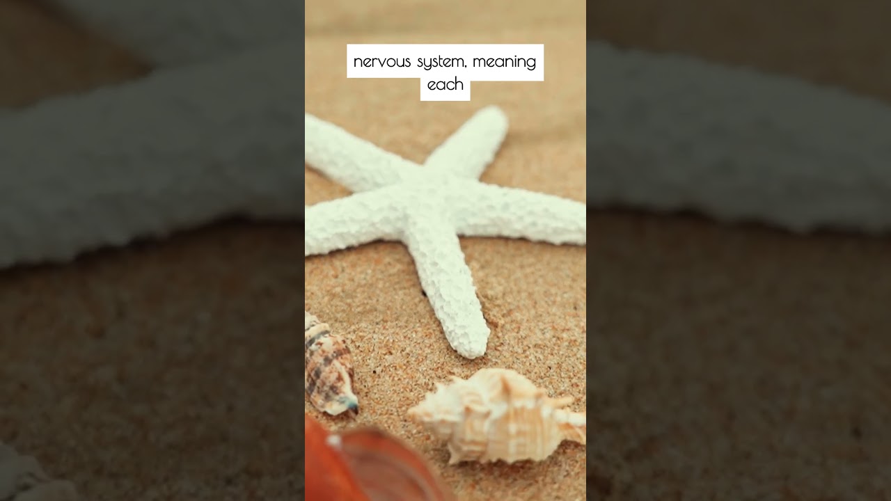 Do You Know How Sea Stars Regenerate Limbs?  #facts #wildlife #worldledge #doyouknow