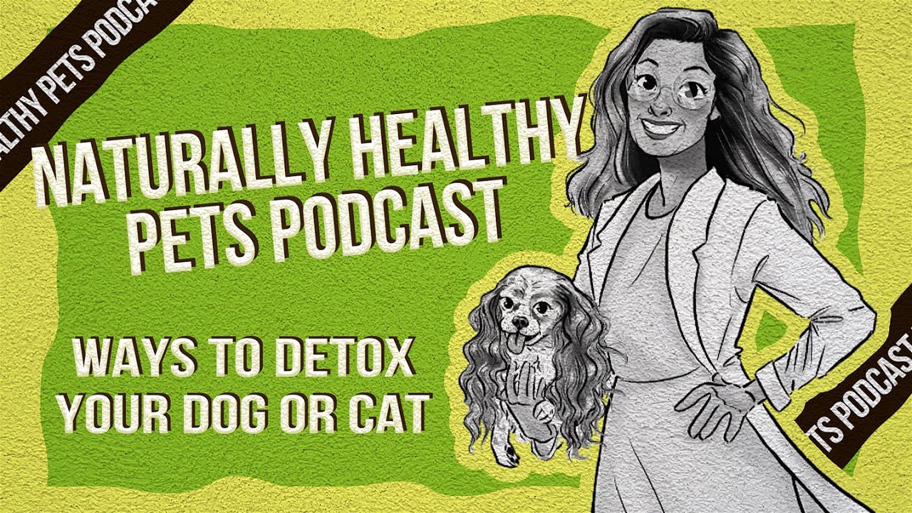 Ways To Detox Your Dog Or Cat | NHP Podcast Ep 010 | Dr Judy Morgan & Dr Marlene Siegel